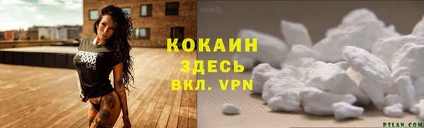 прущий лед Дрезна