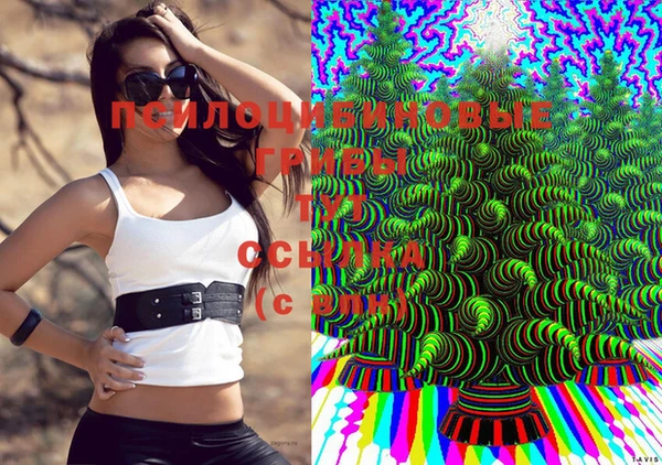 синтетический гашиш Балахна