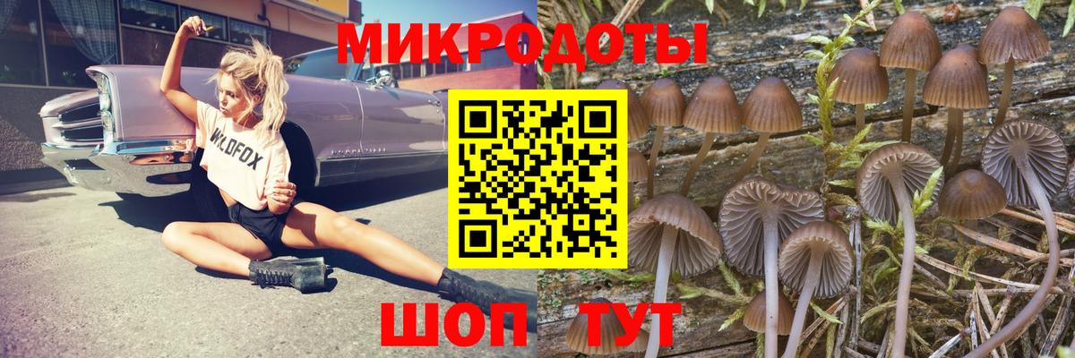 Псилоцибиновые грибы Cubensis  Галлюциногенные грибы GOLDEN TEACHER  магазин продажи наркотиков  Кировск  Вход с VPN 